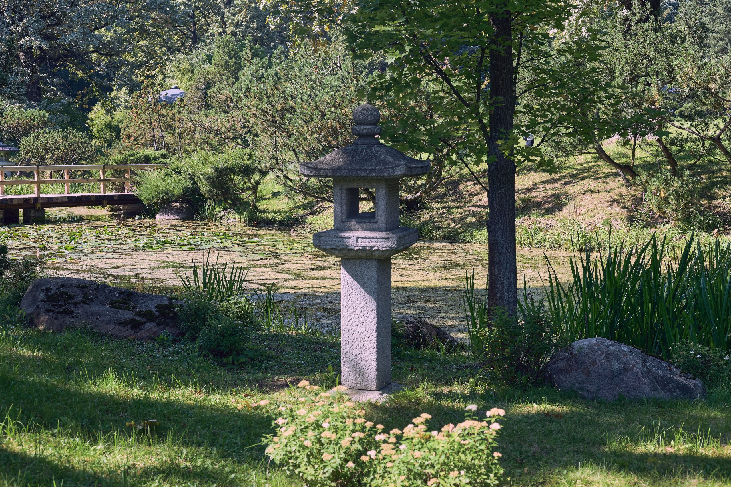 A peaceful Japanese garden scene featuring a stone lantern and lush greenery. Perfect for tranquil relaxation.