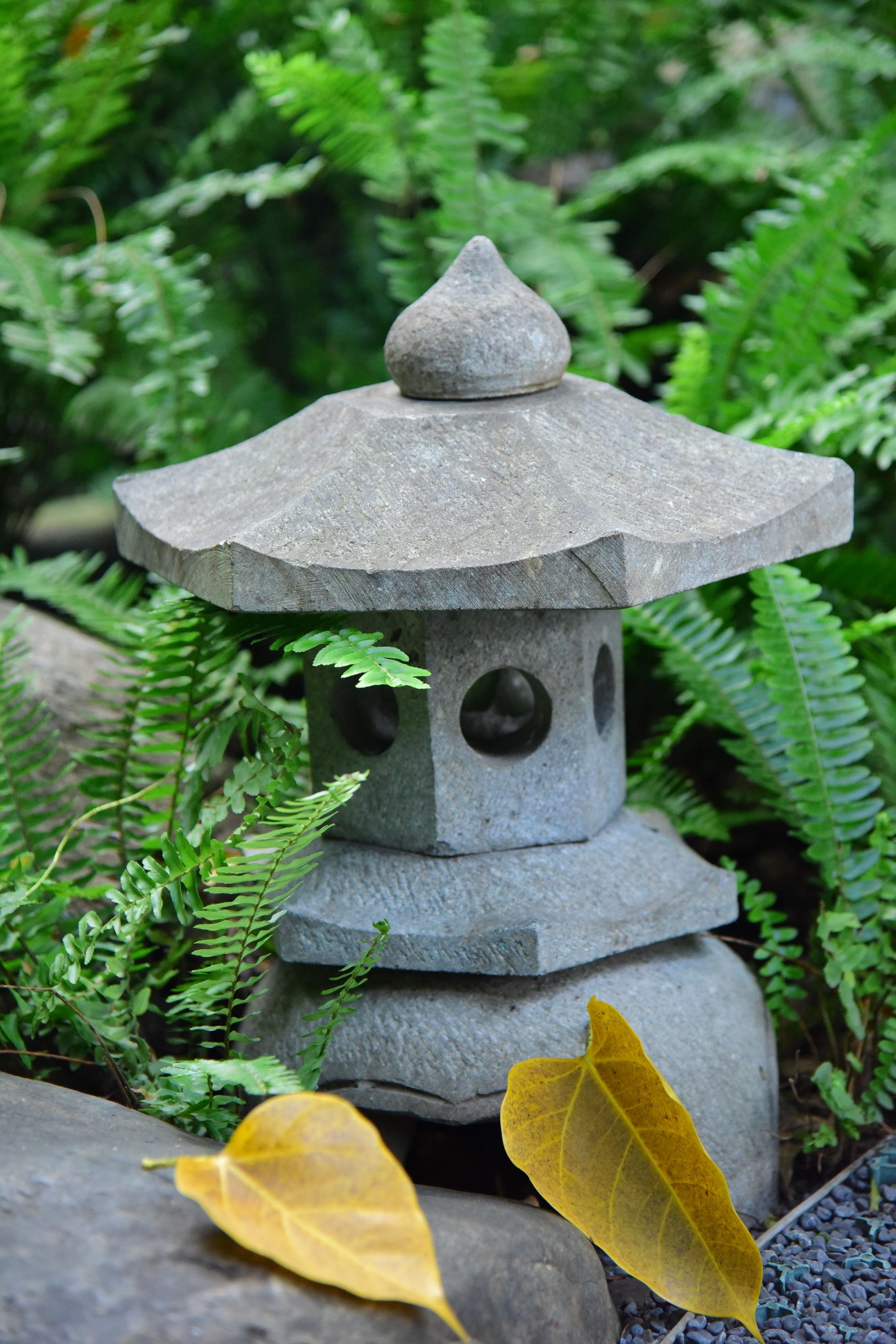 A serene Japanese stone lantern surrounded by green ferns and fallen leaves, creating a tranquil garden setting.