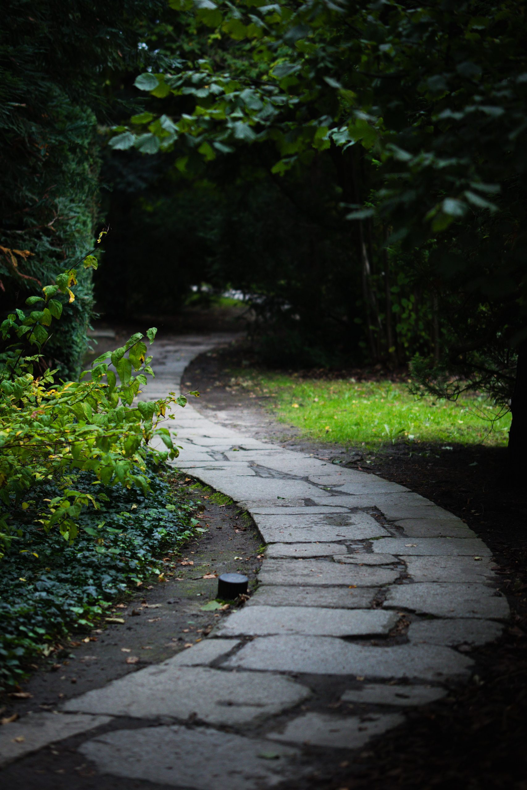 A serene winding stone path meanders through a lush green park in Wrocław, Poland, under a canopy of trees.