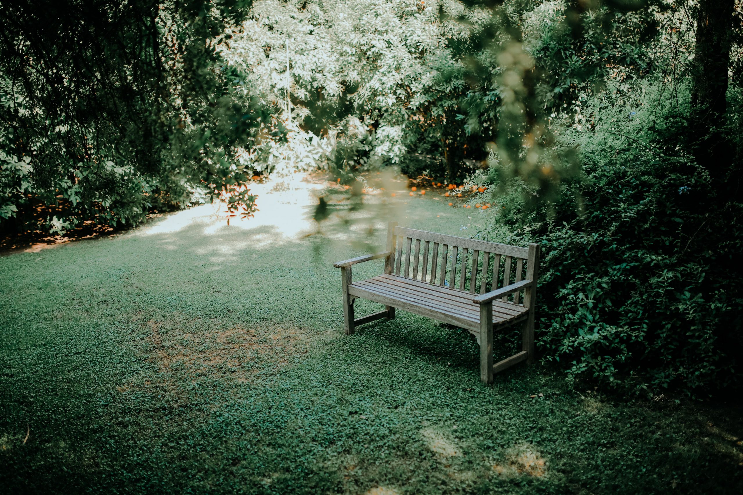 A serene wooden bench surrounded by lush greenery in a peaceful garden setting.