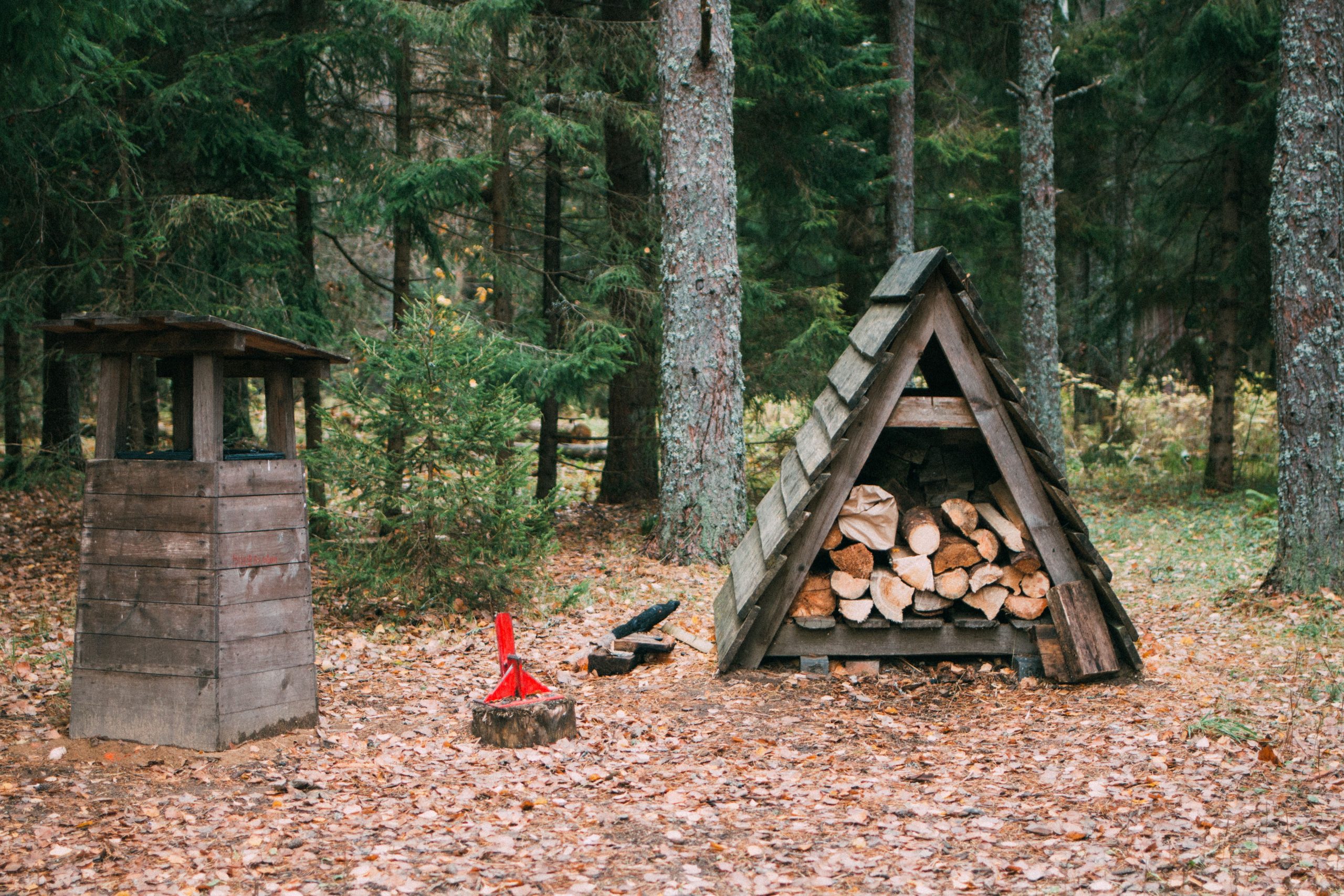 A tranquil autumn forest with a woodpile, wooden shelter, and leaves on the ground.