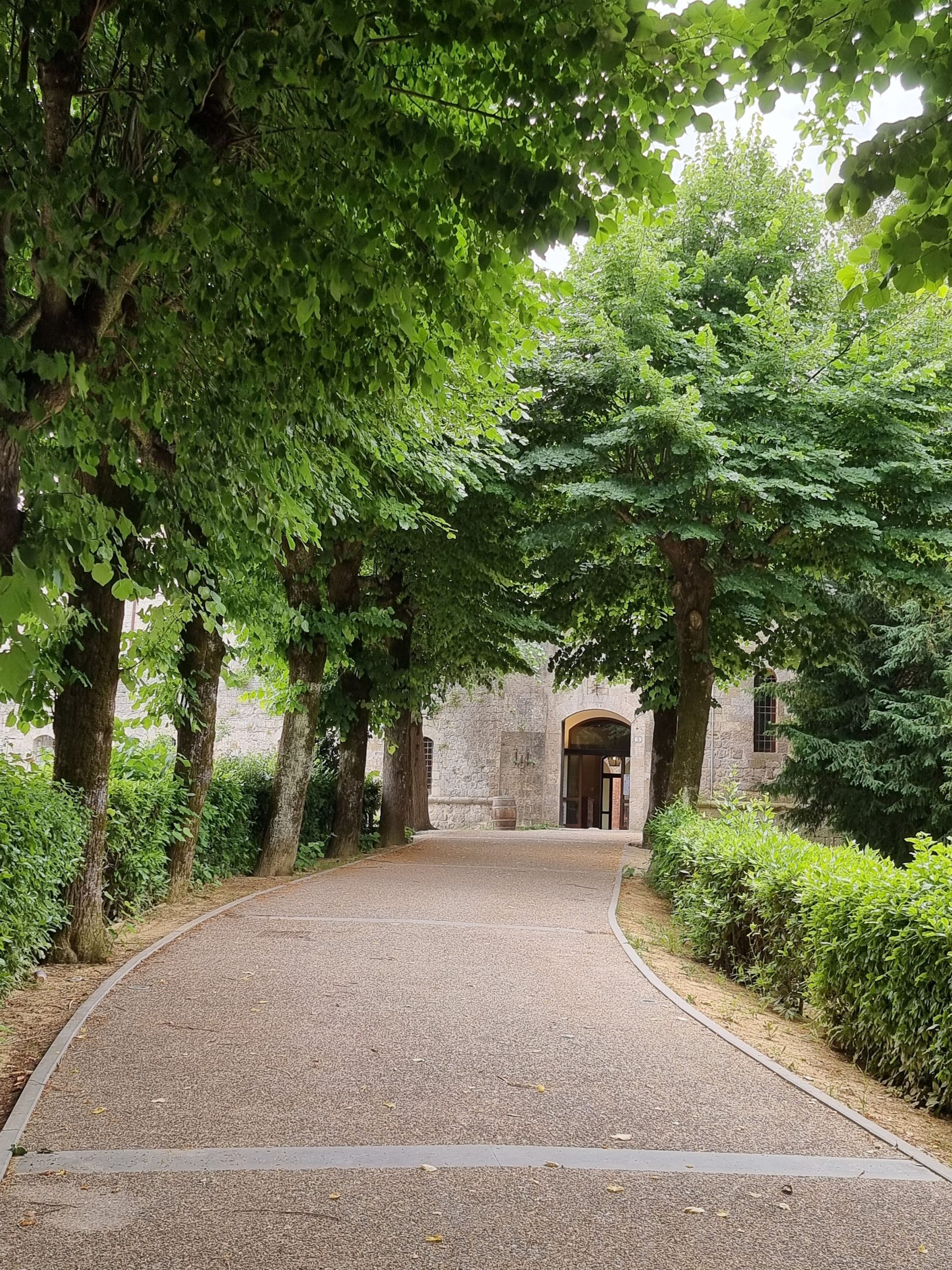 A tranquil pathway lined with green trees leads to a historic stone building entrance.