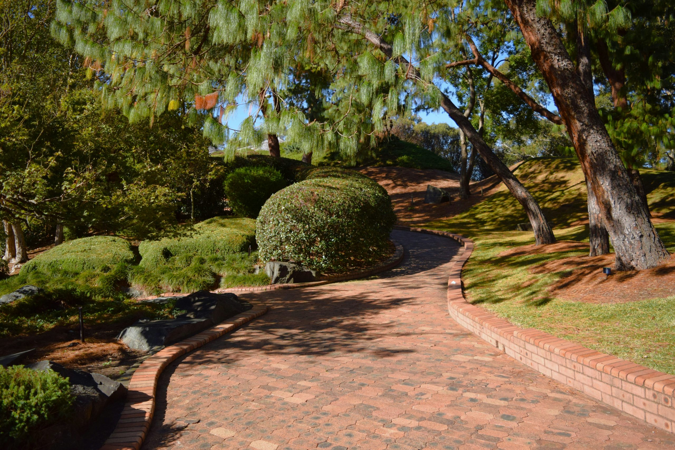 A winding brick path through a lush green garden.