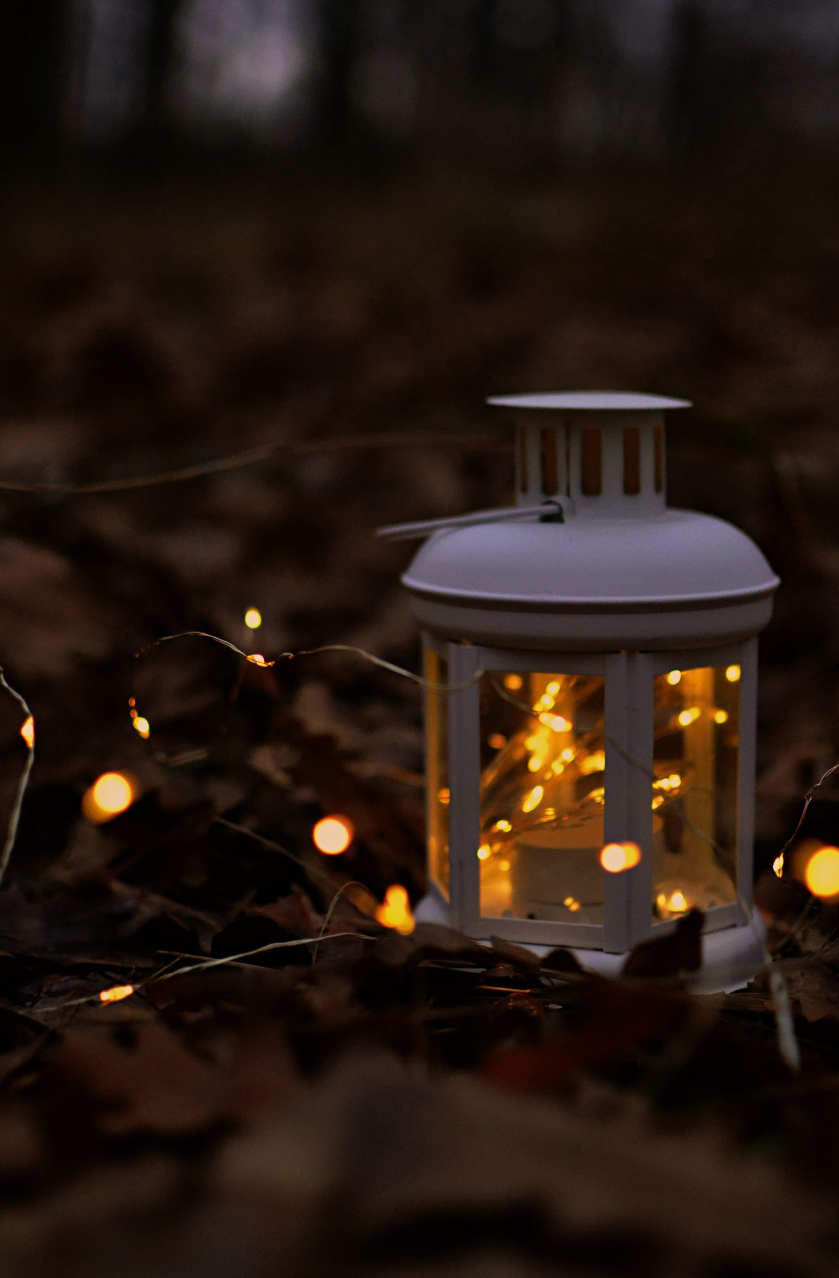 Beautiful white lantern with glowing lights amidst dry leaves, capturing the essence of autumn.