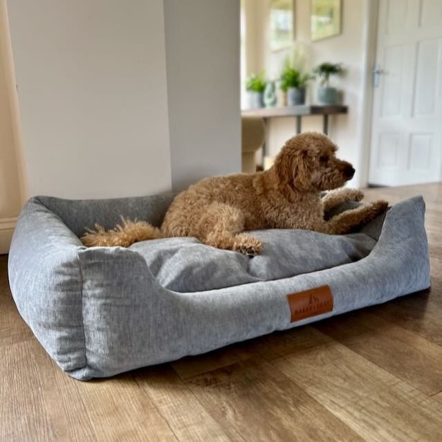 Best Dog Beds for 2026 : Tested & Reviewed | Smart Bark
