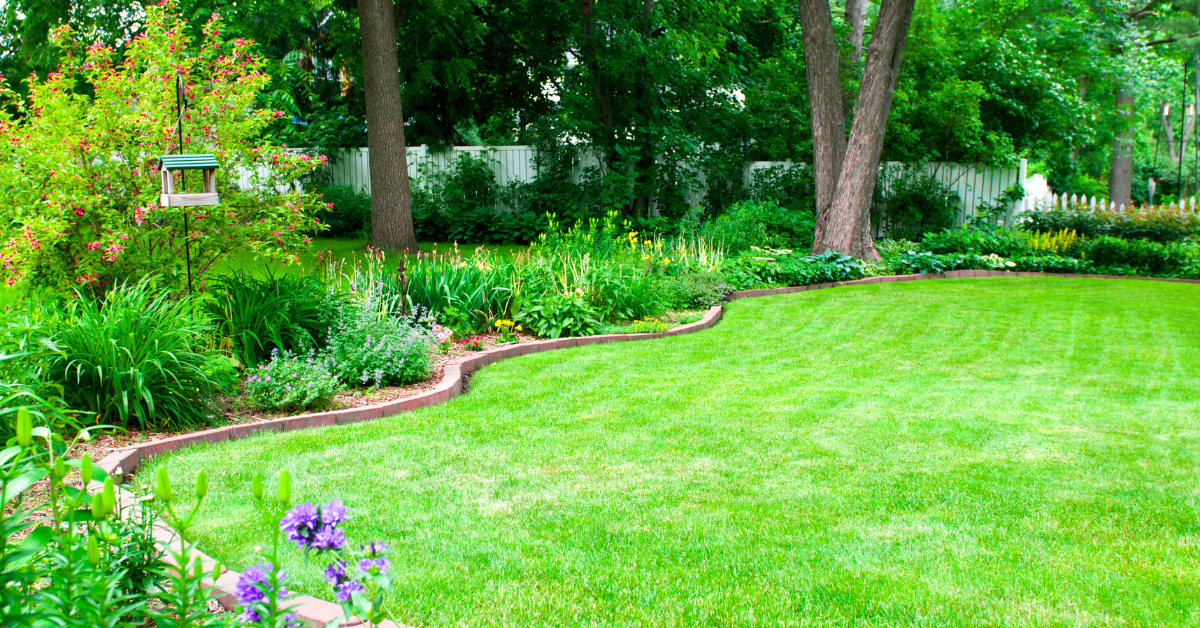 Best Landscape Edging Ideas for Your Yard & Garden – Bower & Branch