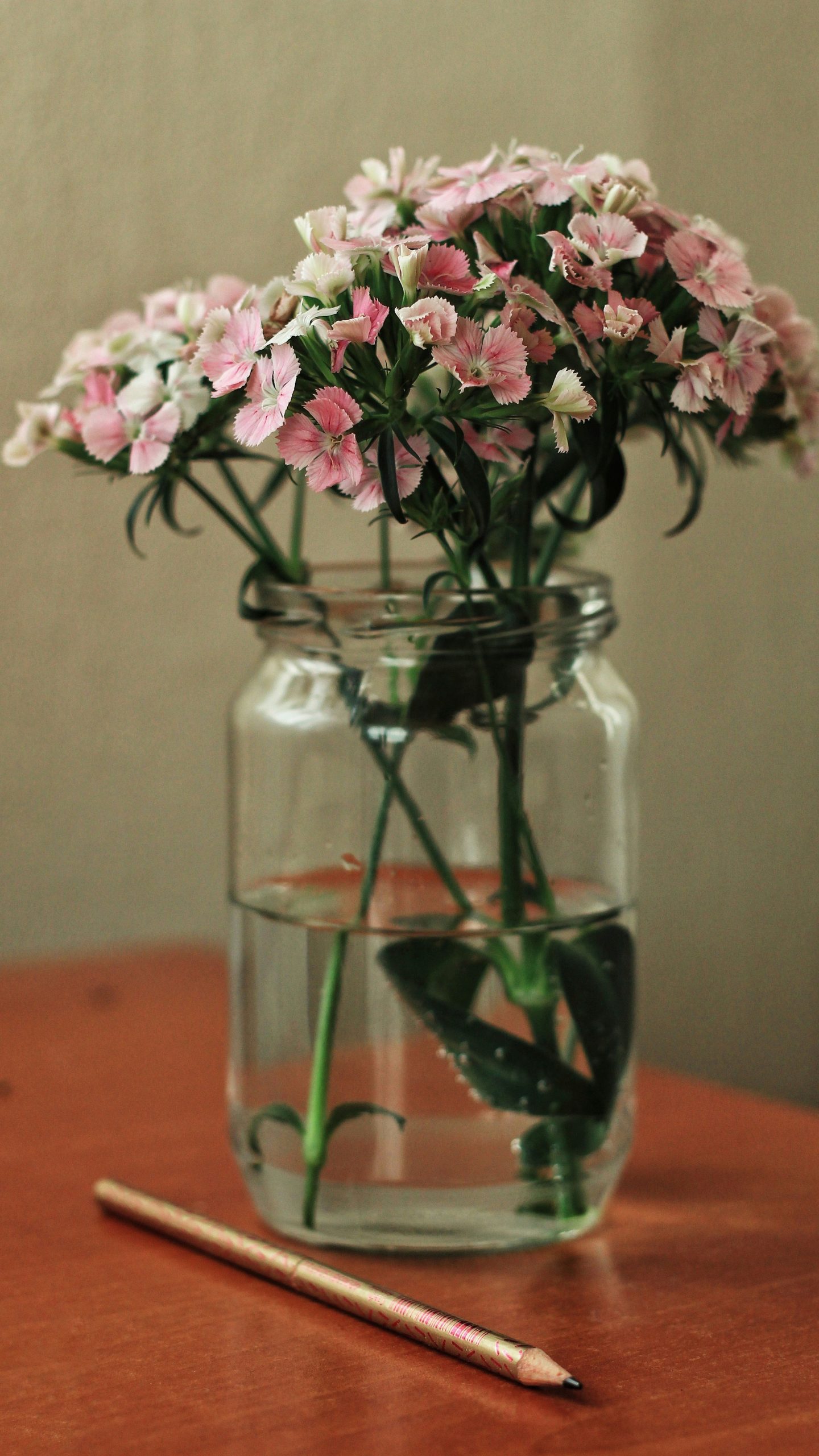 Blossoming cosmos flowers of light pink color in transparent glass jar with water placed on table near pencil