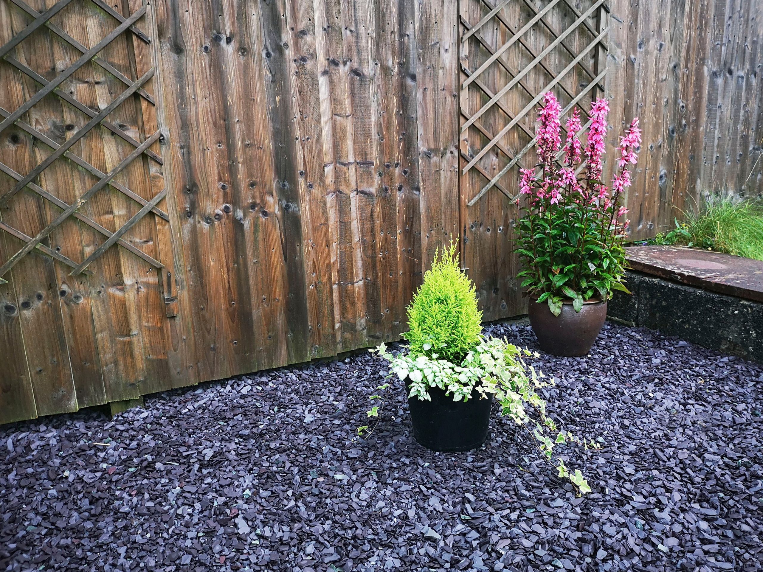 Blue Slate Chippings