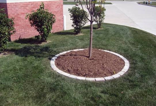 Brick Edging