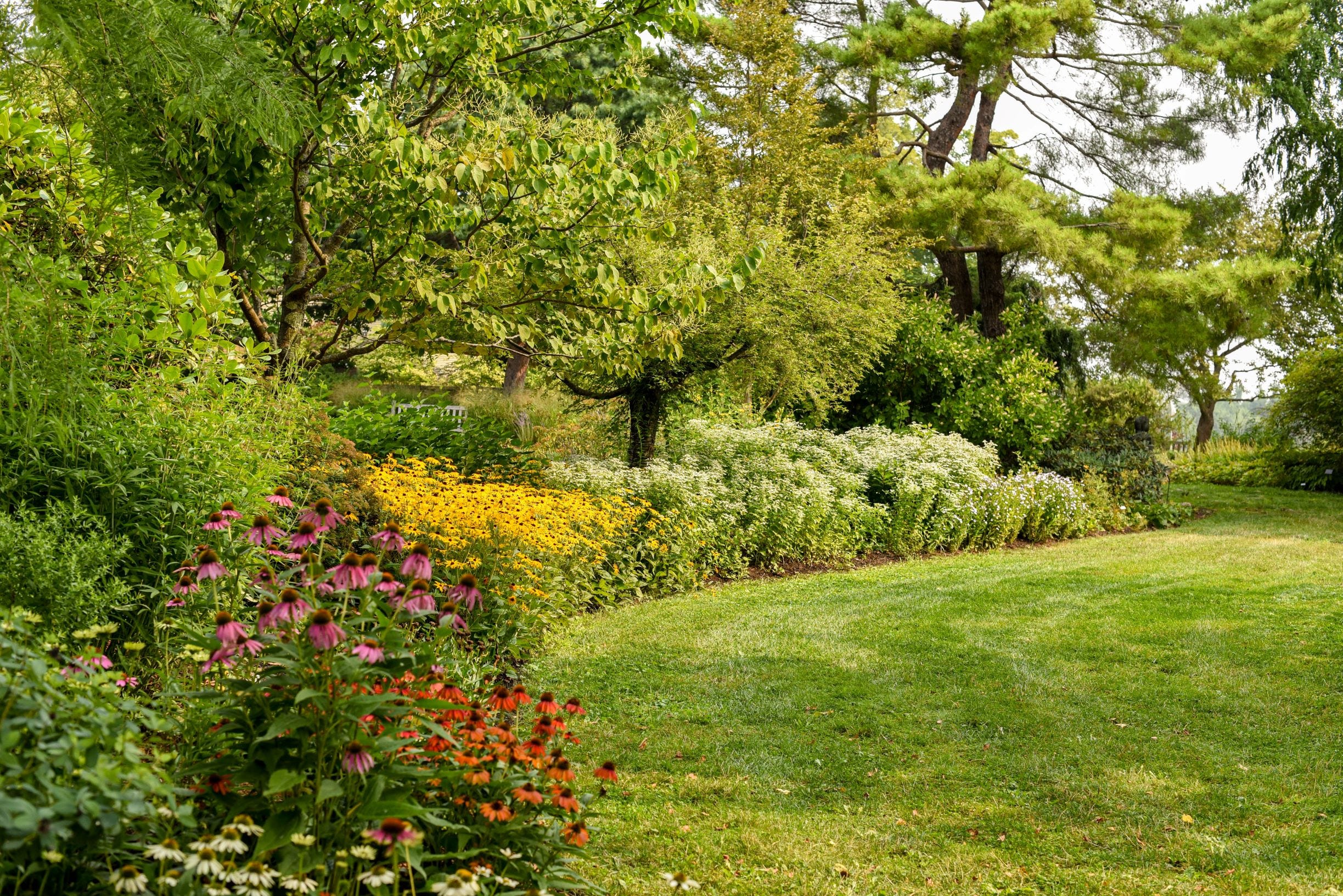 Bringing out the best in your garden for summer gatherings - AOL