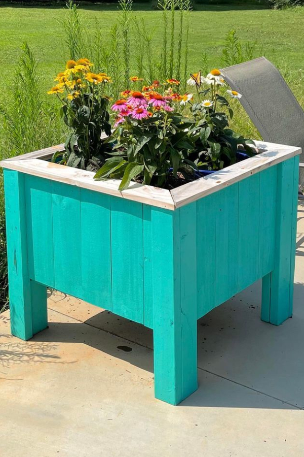 Bucket Planter Gardening - How To Grow Flowers & Vegetables With Ease