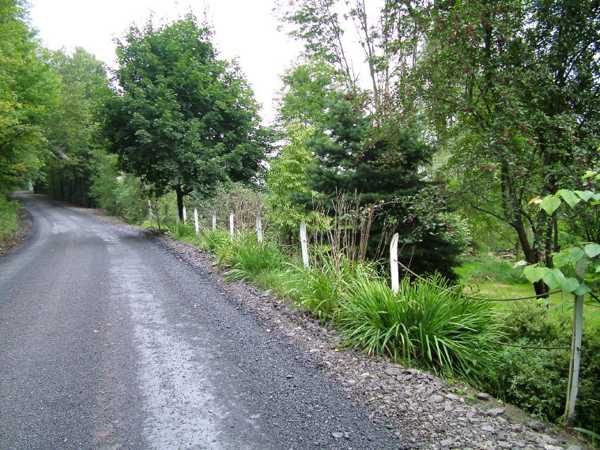 Charming Country Home Driveways, Natural Driveway Landscaping Ideas