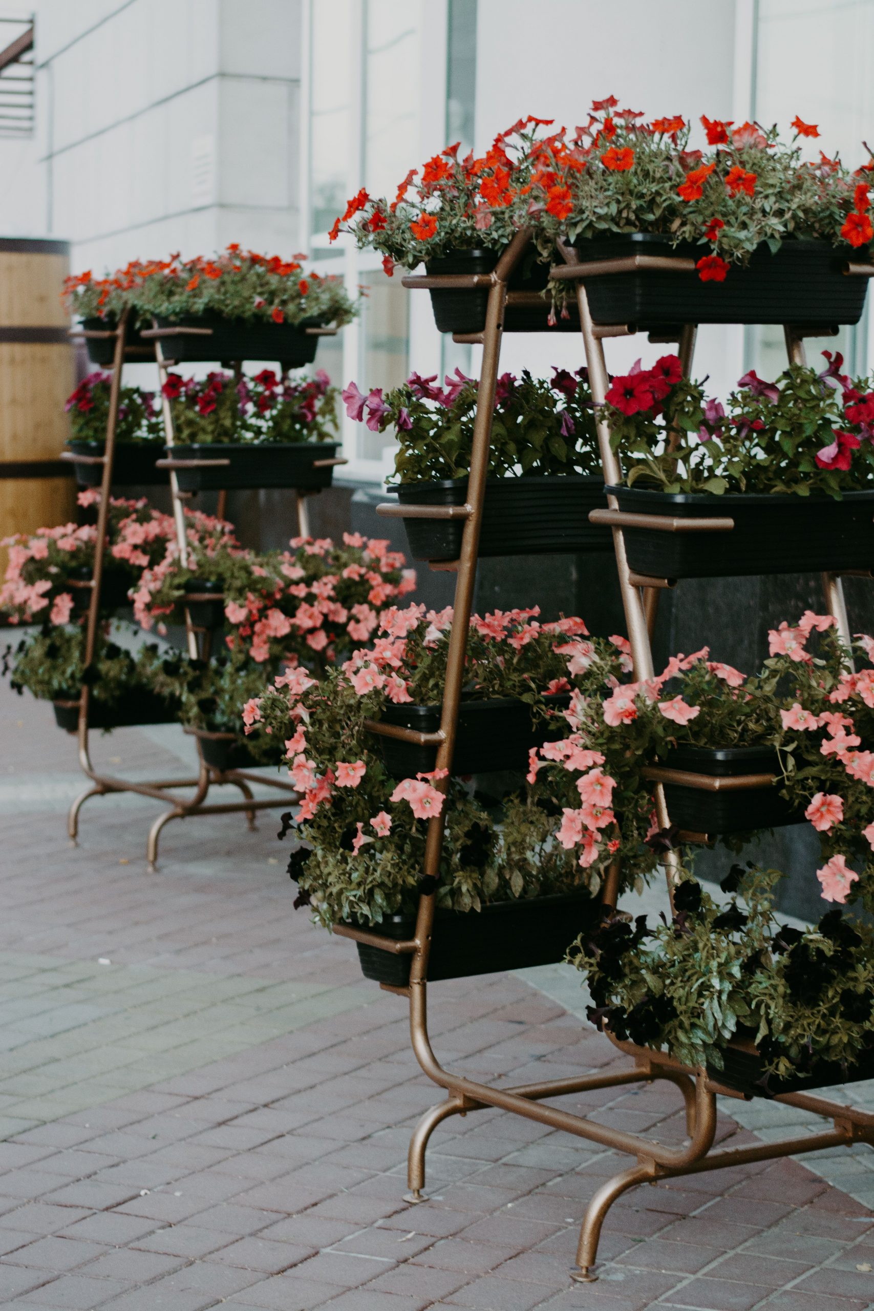 Charming multi-tiered flower pots with vibrant blooms on city street.
