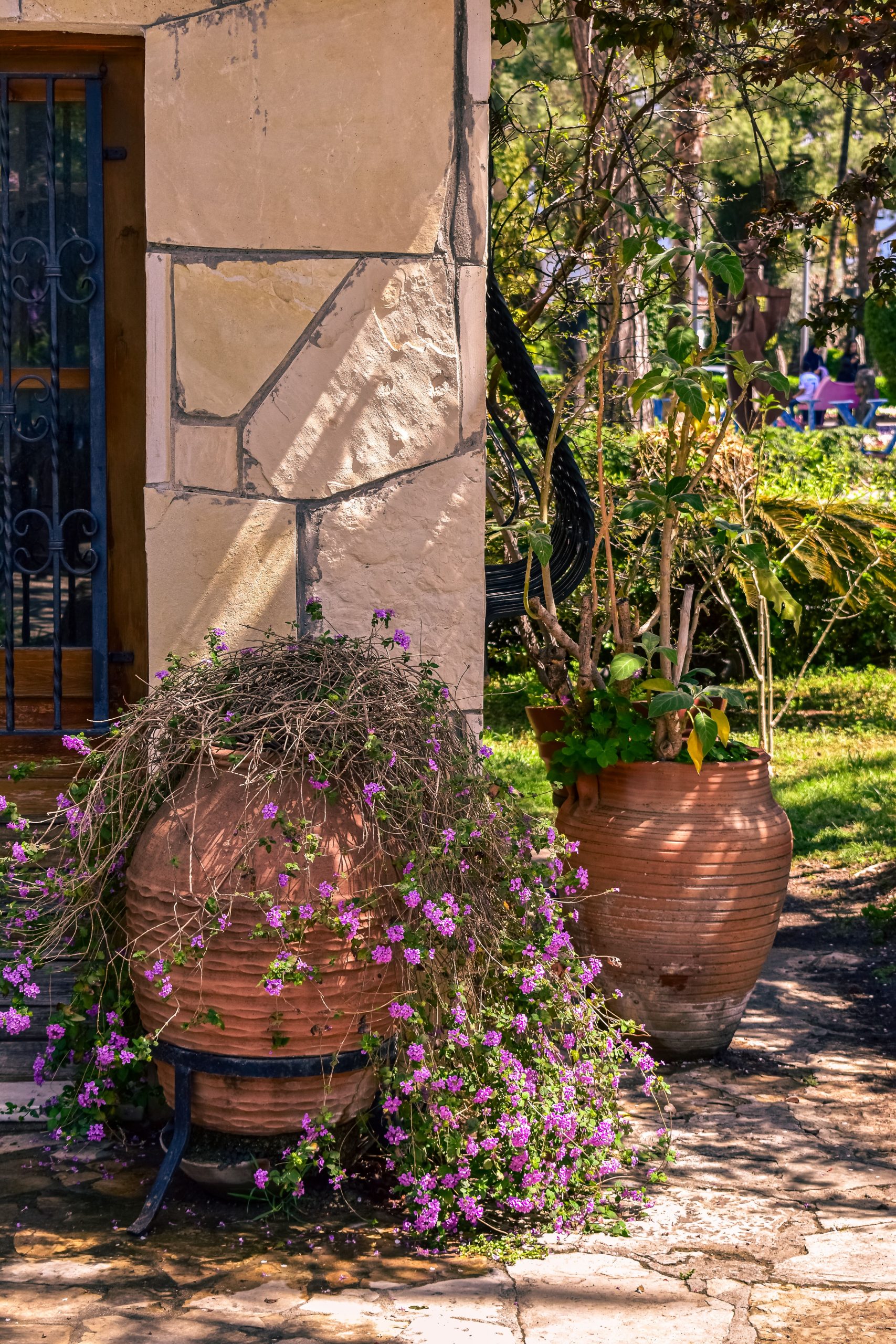 Charming outdoor scene with terracotta pots filled with vibrant flowers and lush greenery.