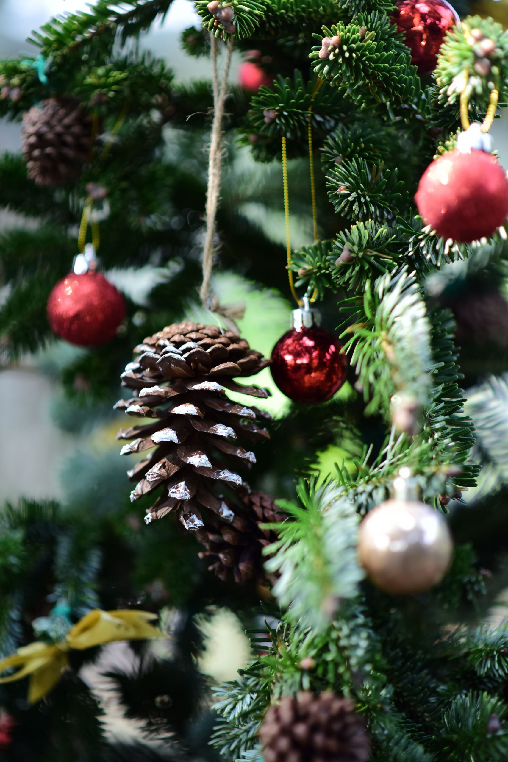 Close-up of a festive Christmas tree adorned with pine cones and red ornaments.