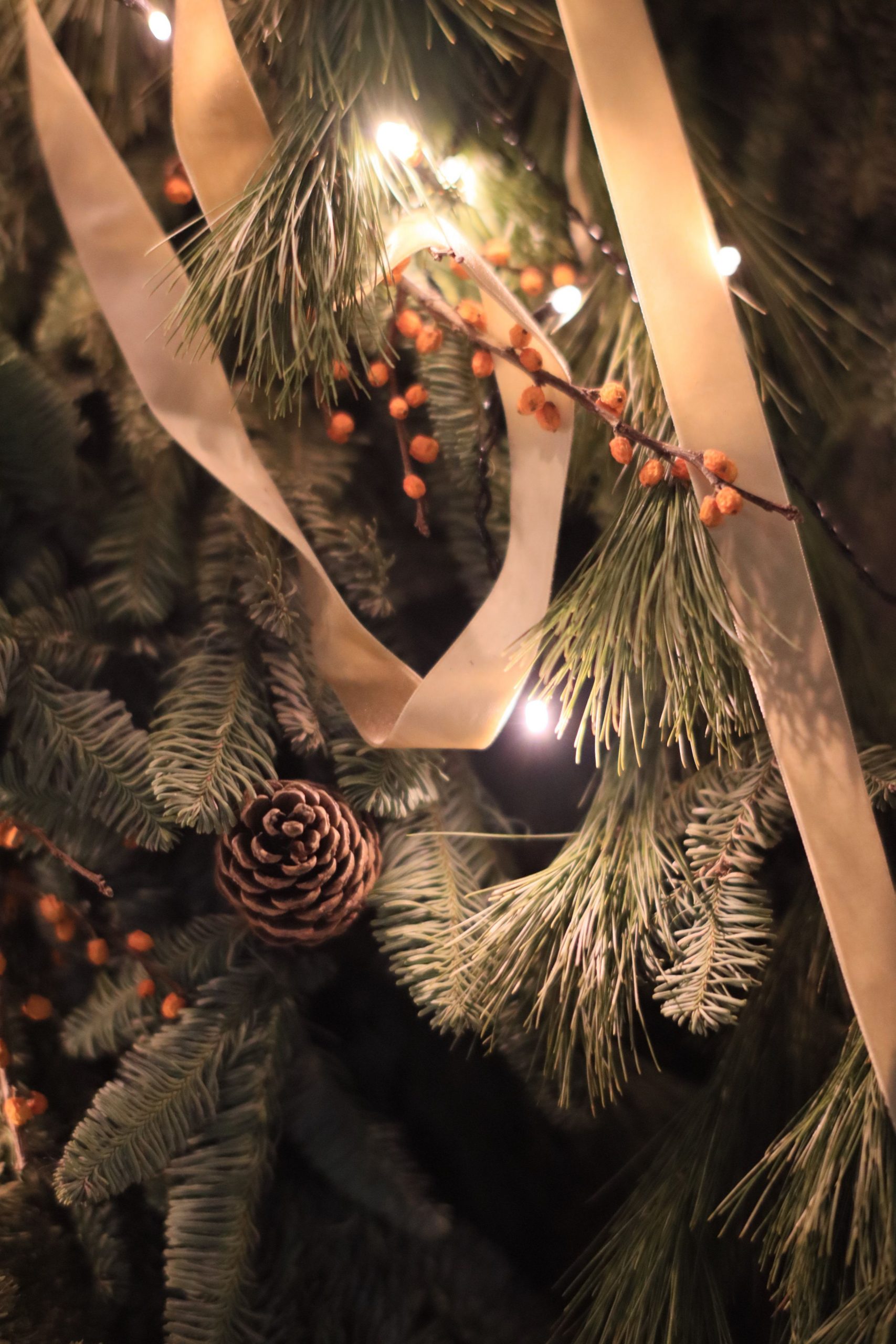 Close-up of festive Christmas tree branch adorned with pinecone and warm lighting
