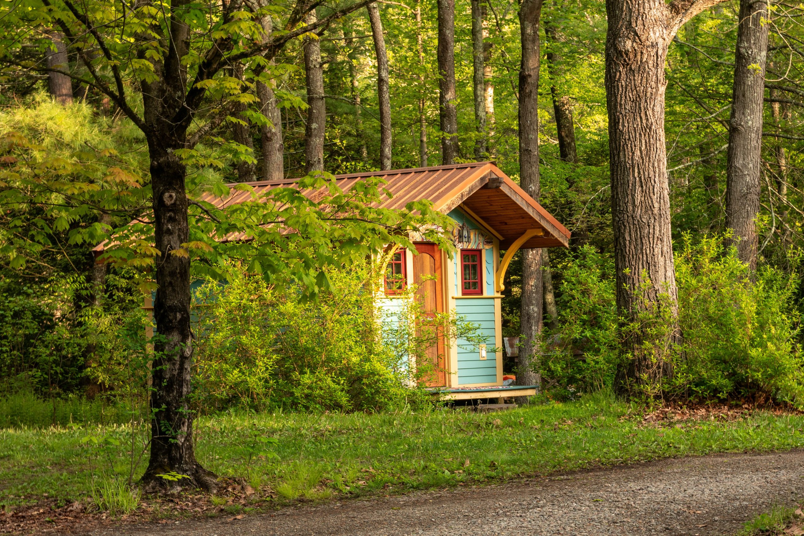Colorful tiny cabin surrounded by lush greenery in a serene forest setting.