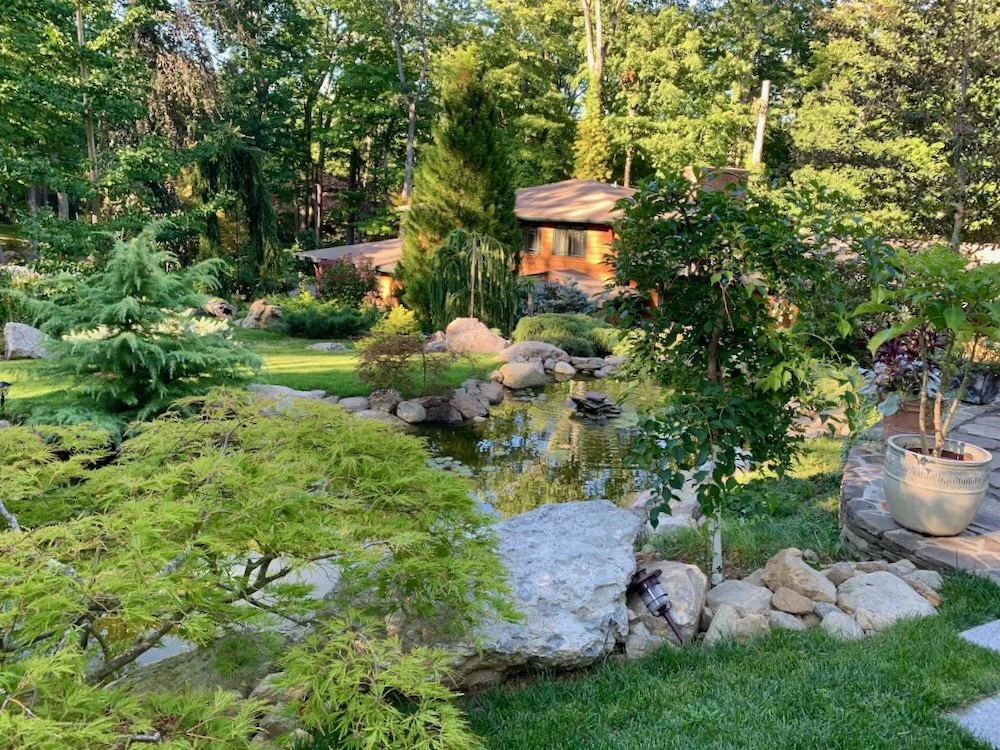 conifer garden — Blog — Enchanted Gardens