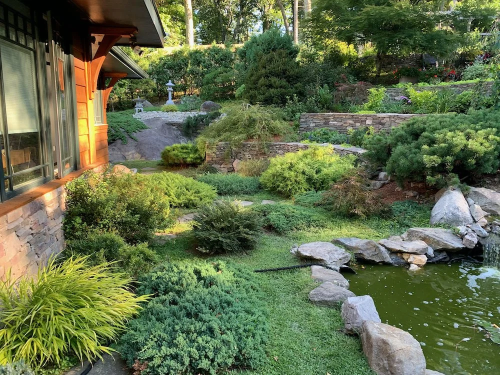 conifer garden — Blog — Enchanted Gardens