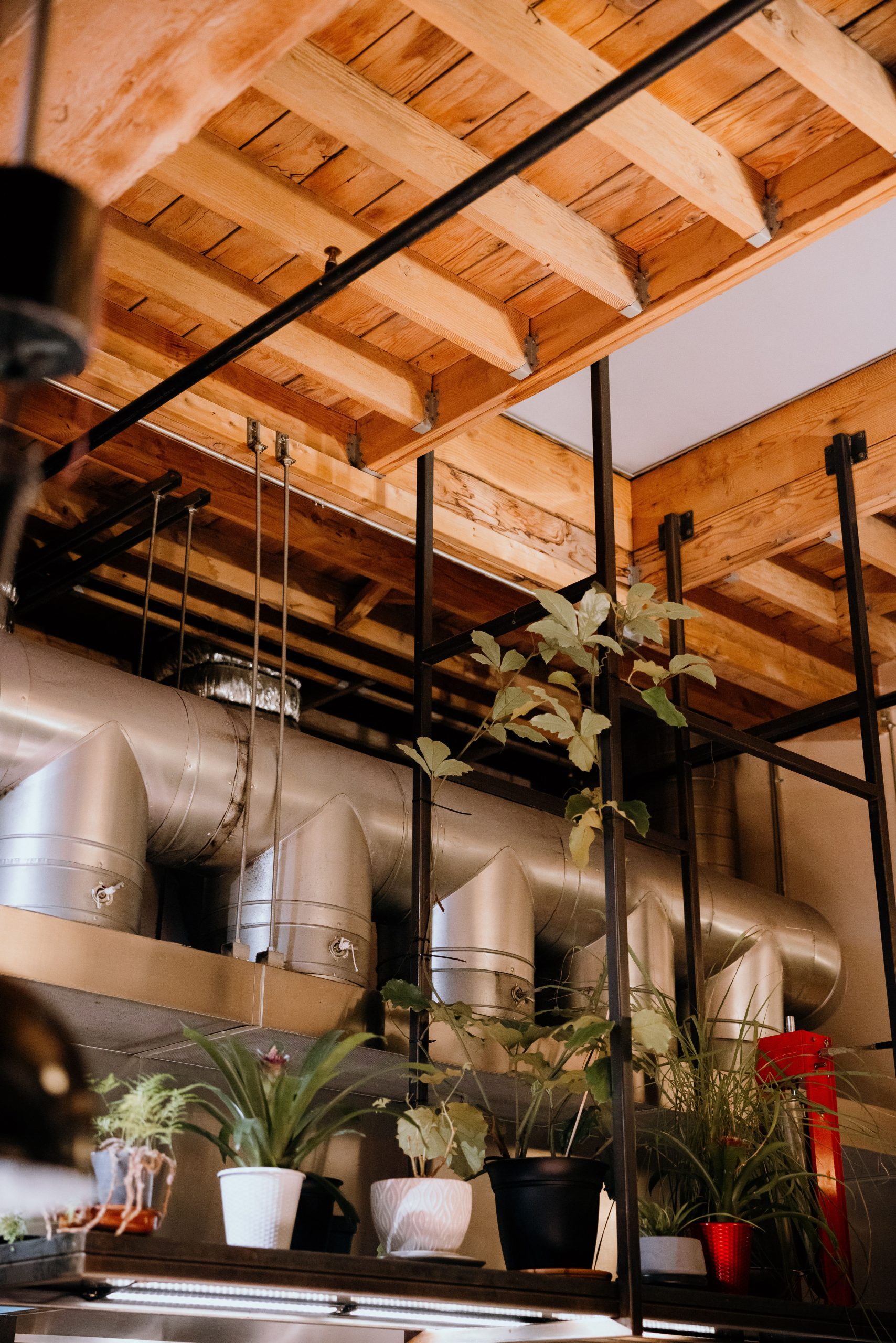 Cozy interior with houseplants and visible ductwork, featuring wooden beams.