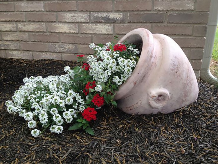Create a Spill Pot – Jungle Taming with Bill Kunze