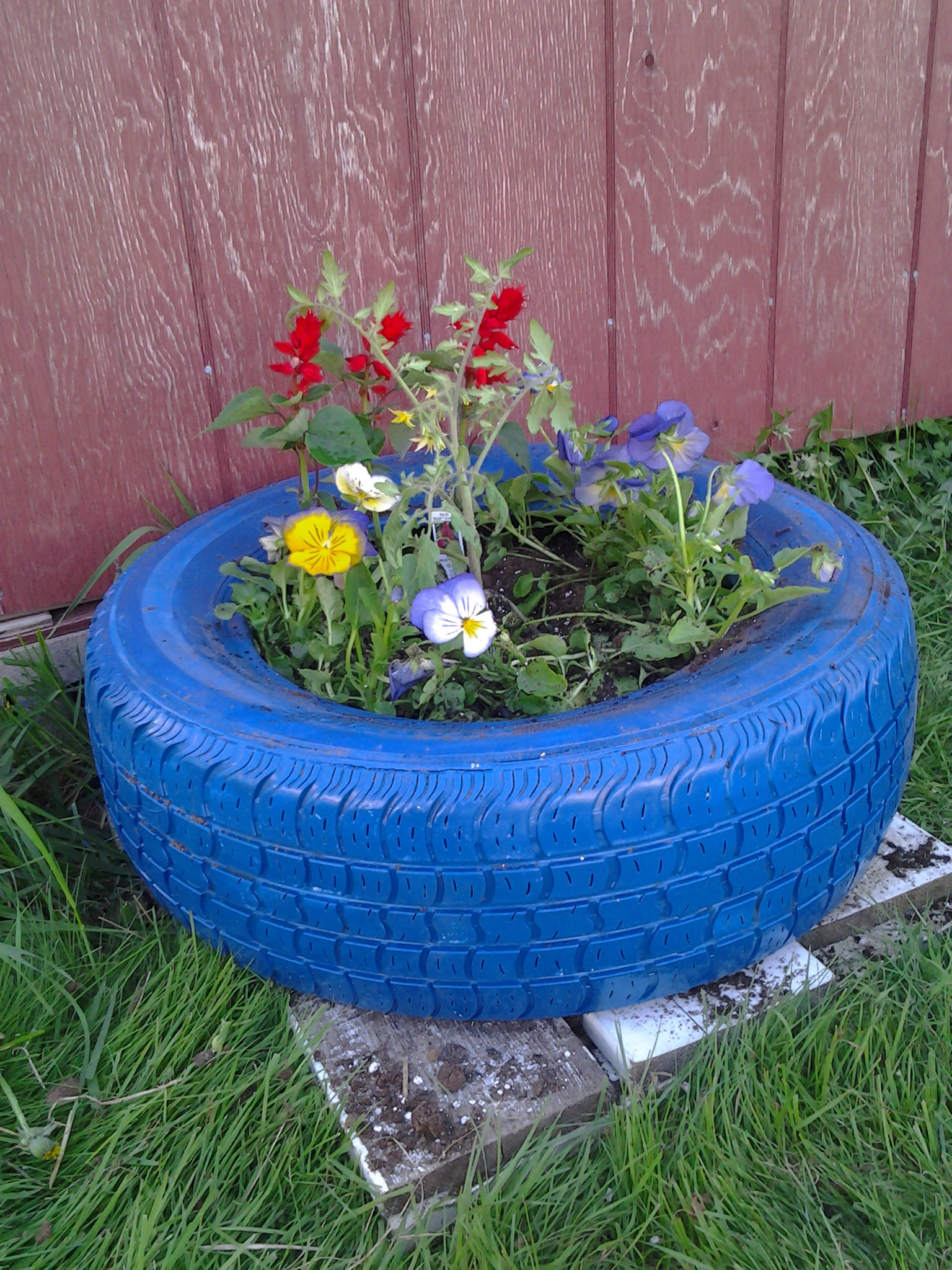 DIY Car Tire Planters | Cat and Goat