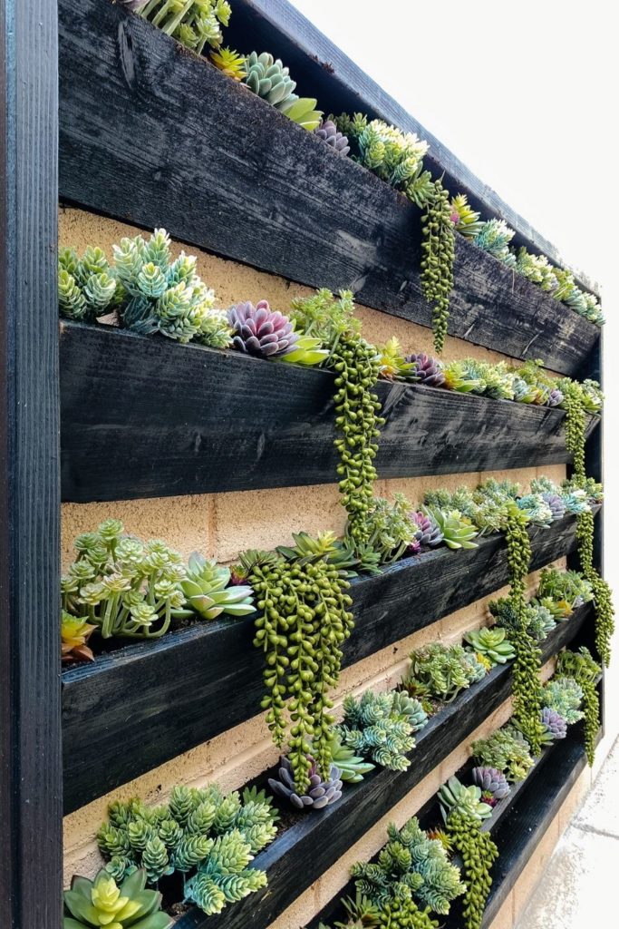 DIY Planter Wall Anyone Can Make - Angela Rose Home