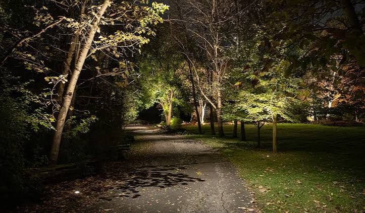 Driveway Lighting Ideas to Create Beauty and Security On Your Property