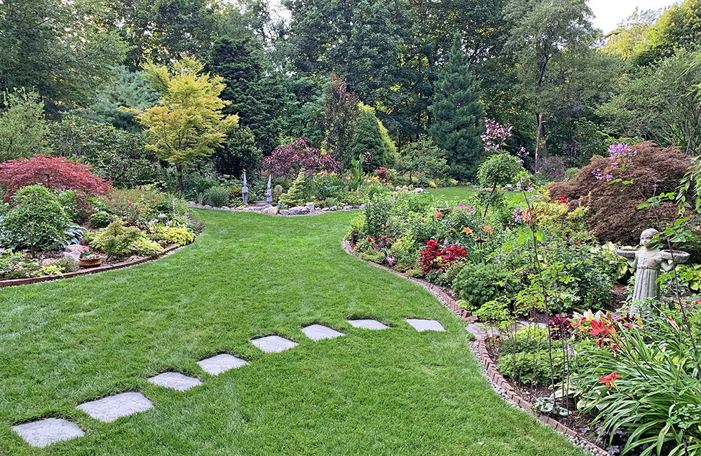 dwarf conifers — Blog — Enchanted Gardens