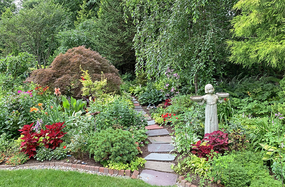 dwarf conifers — Blog — Enchanted Gardens
