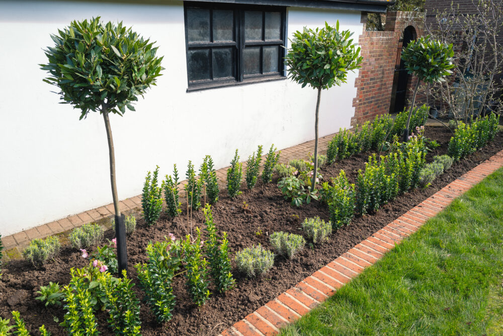 Flower Bed Edging for a Beautiful Garden - LowCo Gardeners
