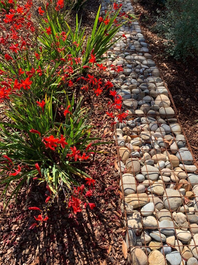 Gabion Planters | Durable Outdoor Planter Boxes