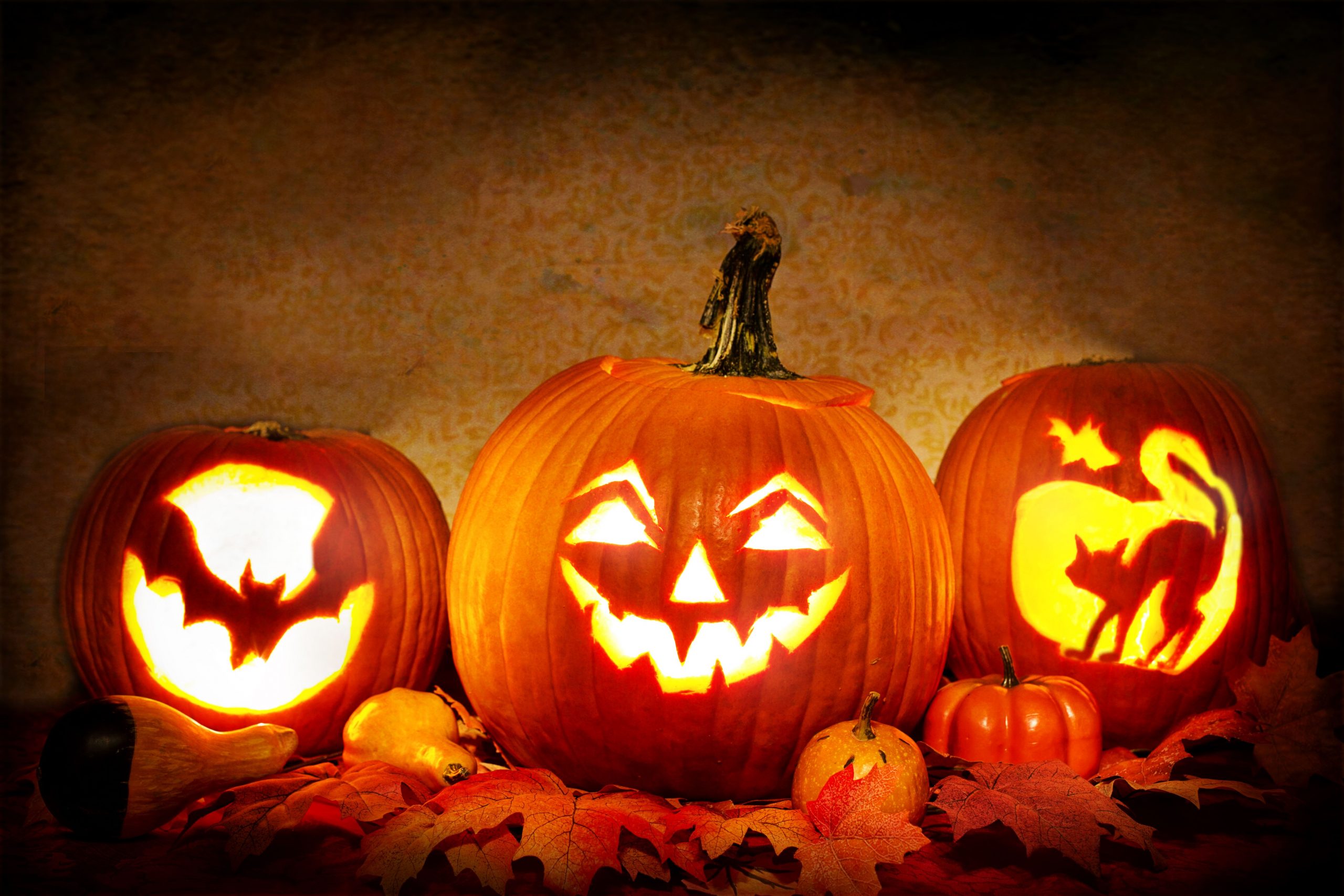 Glowing jack-o'-lanterns surrounded by autumn leaves, perfect for Halloween decor.