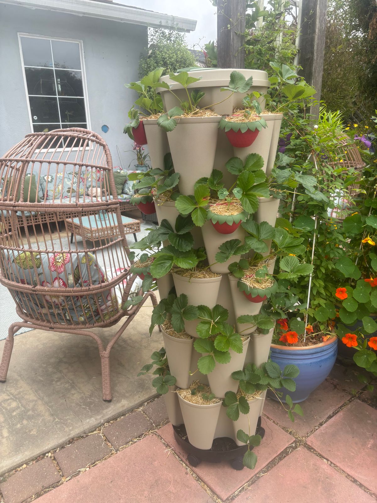 GreenStalk Garden Lid | Sage