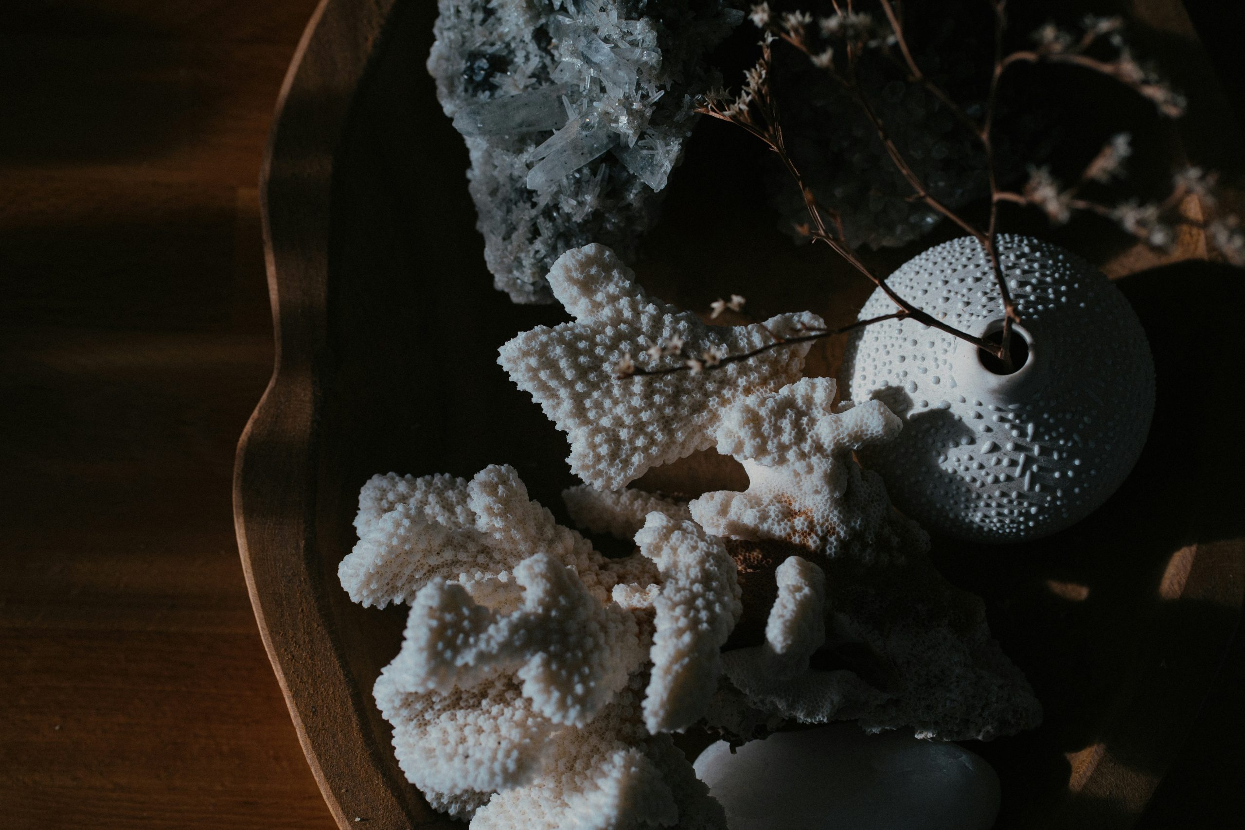 Home decor with wood, quartz and white coral