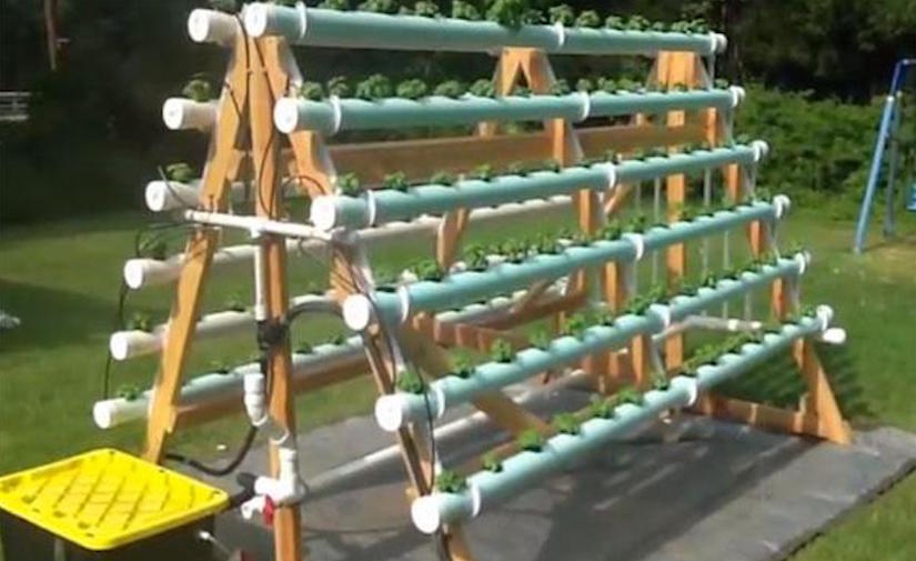 Homemade vertical A-frame hydroponic system – CONTAINER GARDENING