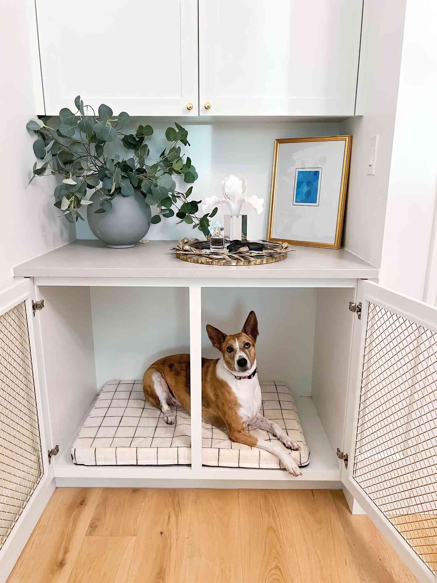 How to Design a Dog Room That's Stylish and Functional