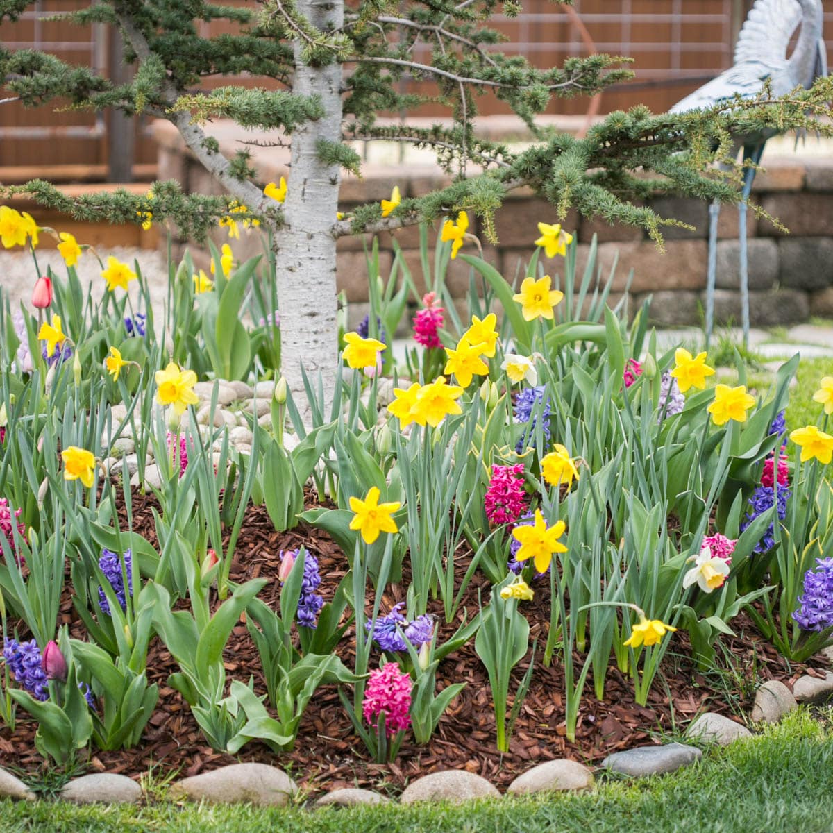 How To Design A Whimsical Forest Garden In Your Own Backyard - Green Garden Cottage