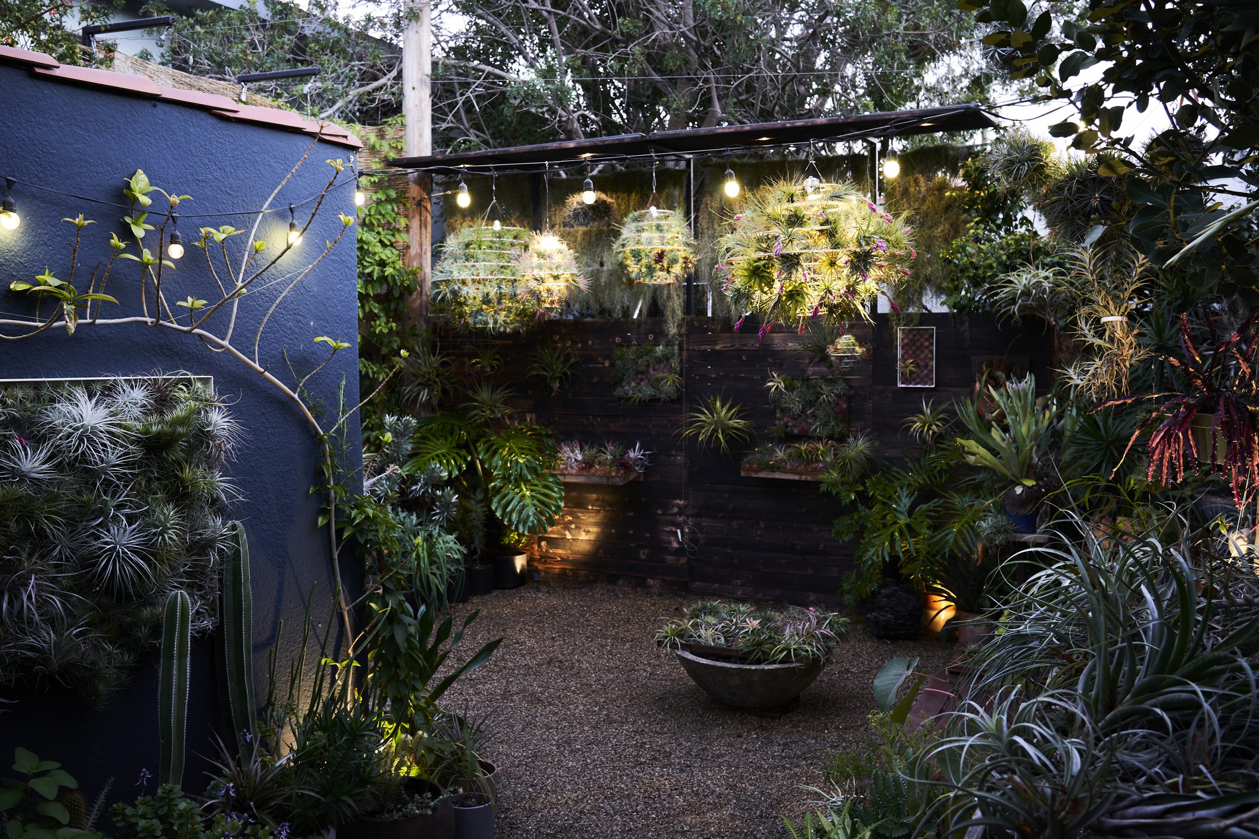 How to Light Your Garden at Night - Sunset Magazine
