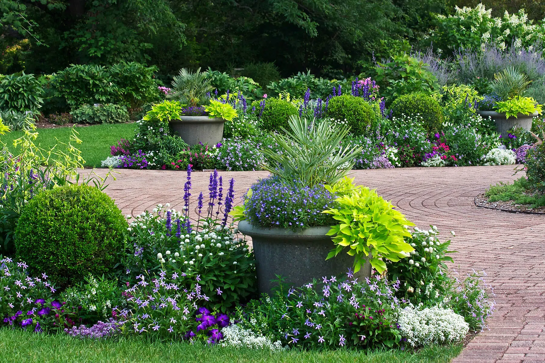 How to Make Your Garden Look Lush and Expensive