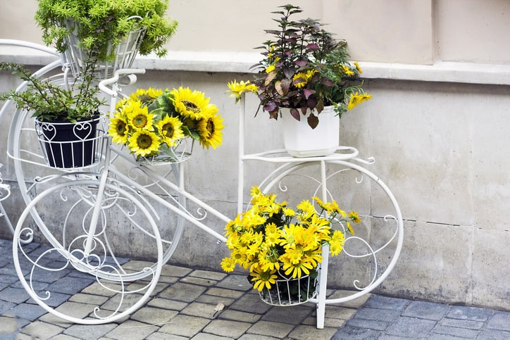 How to Turn Everyday items into Repurposed Garden Decor | Goodwill of Central and Northern Arizona