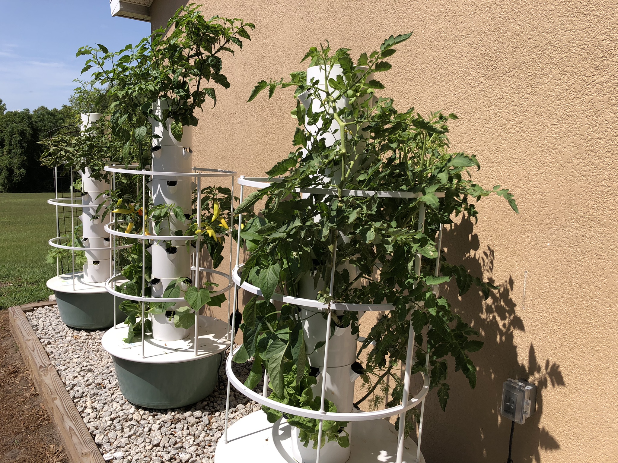 Hydroponic Towers Made Easy - BloominThyme