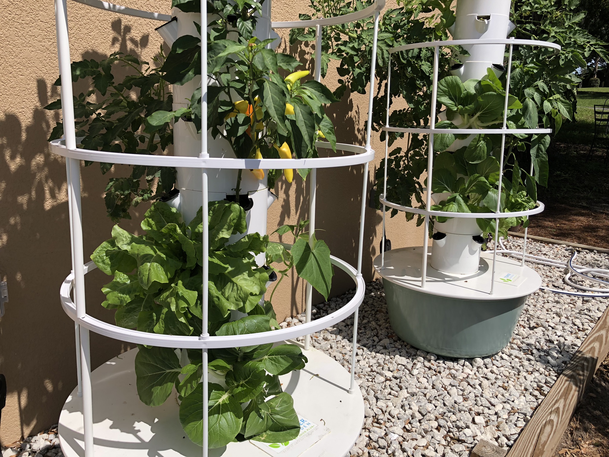 Hydroponic Towers Made Easy - BloominThyme