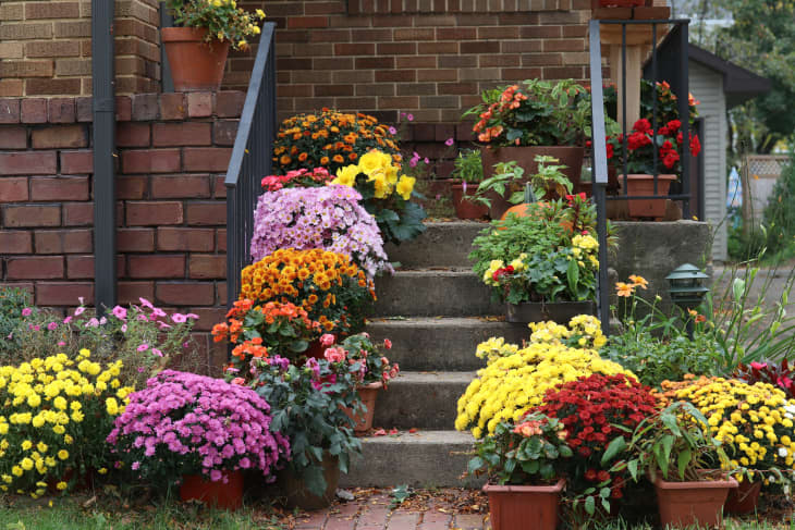I Tried the “Spill, Fill, Thrill” Method for Filling Fall Planters | Apartment Therapy