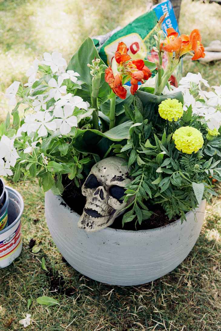 I Tried the “Spill, Fill, Thrill” Method for Filling Fall Planters | Apartment Therapy