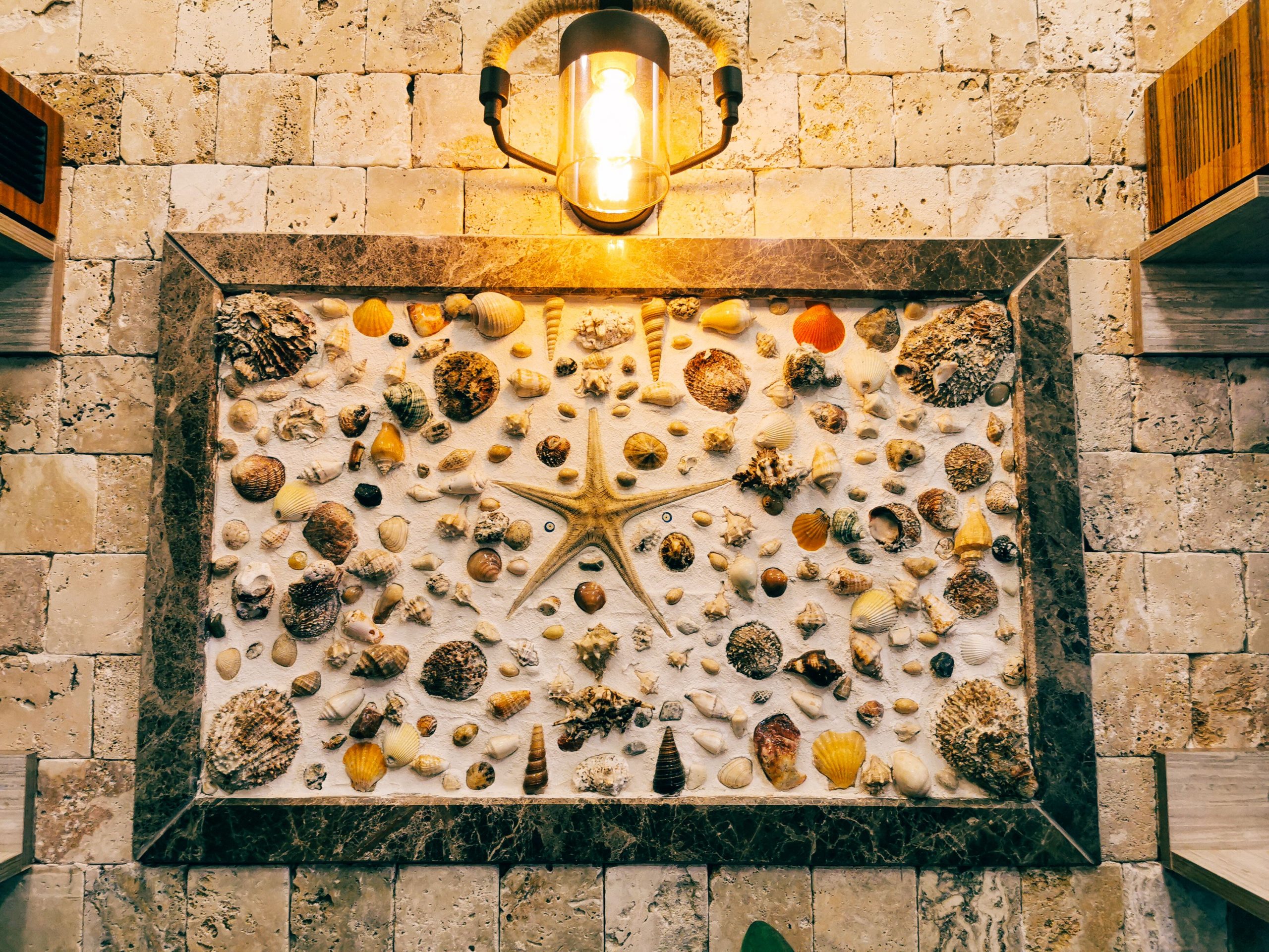 Intricate seashell and starfish wall art with warm lighting, creating a cozy indoor ambiance.