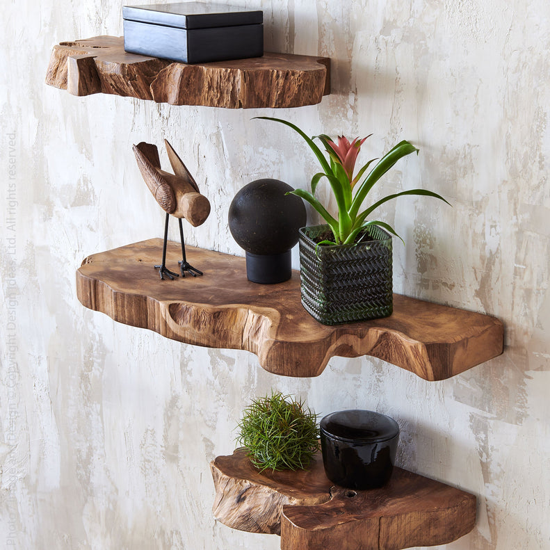 Live Edge Natural Teak Wall Shelf – CRAIG RYANS inc.