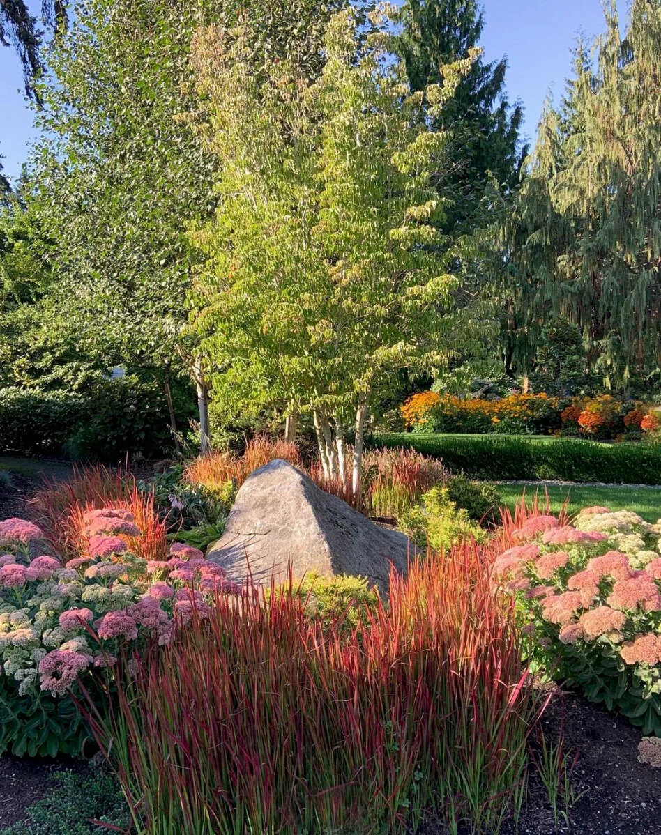 Medina Midcentury Modern Elegance — Spring Greenworks