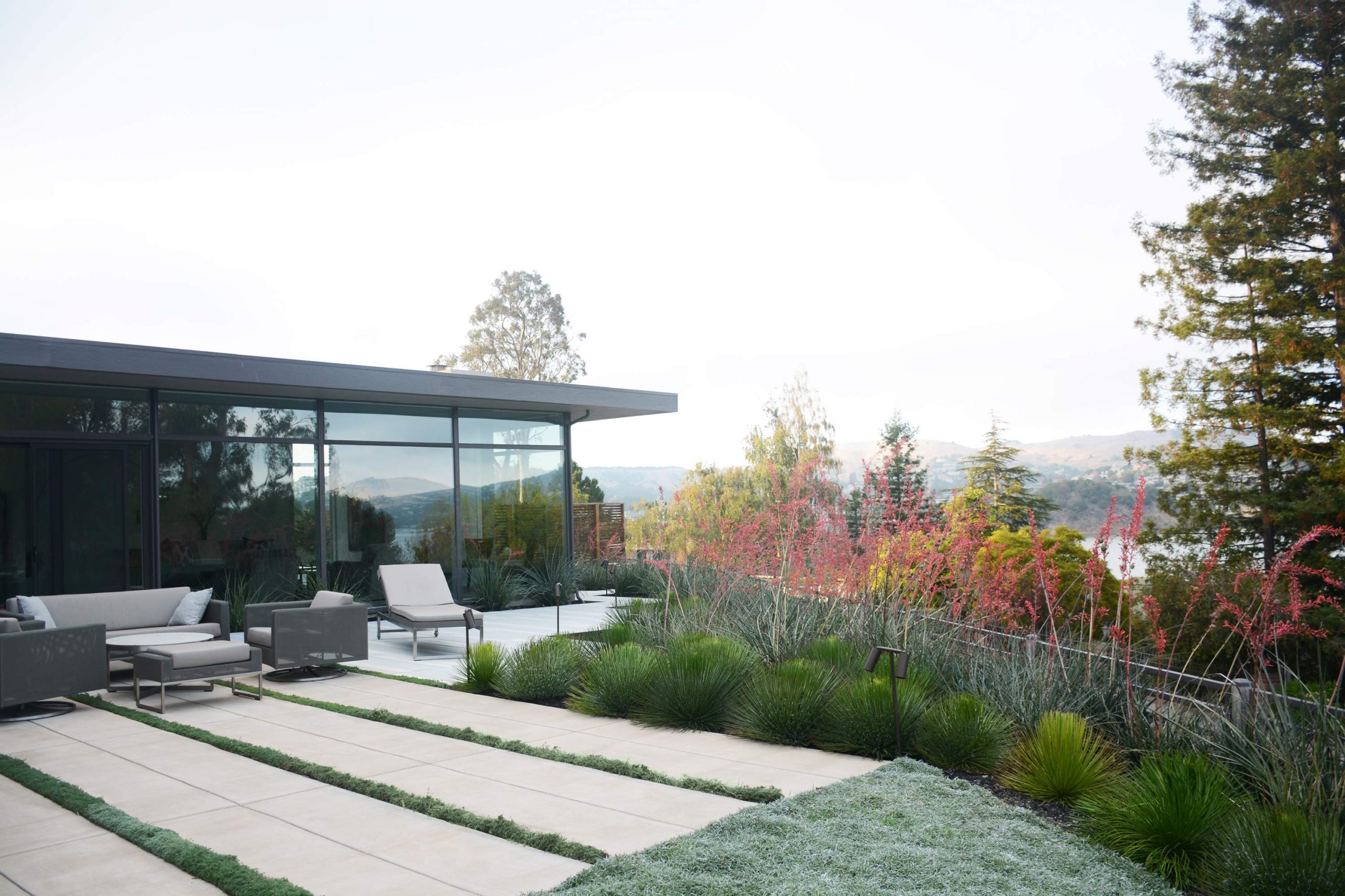 Mid-Century Garden - Shades of Green Landscape Architecture
