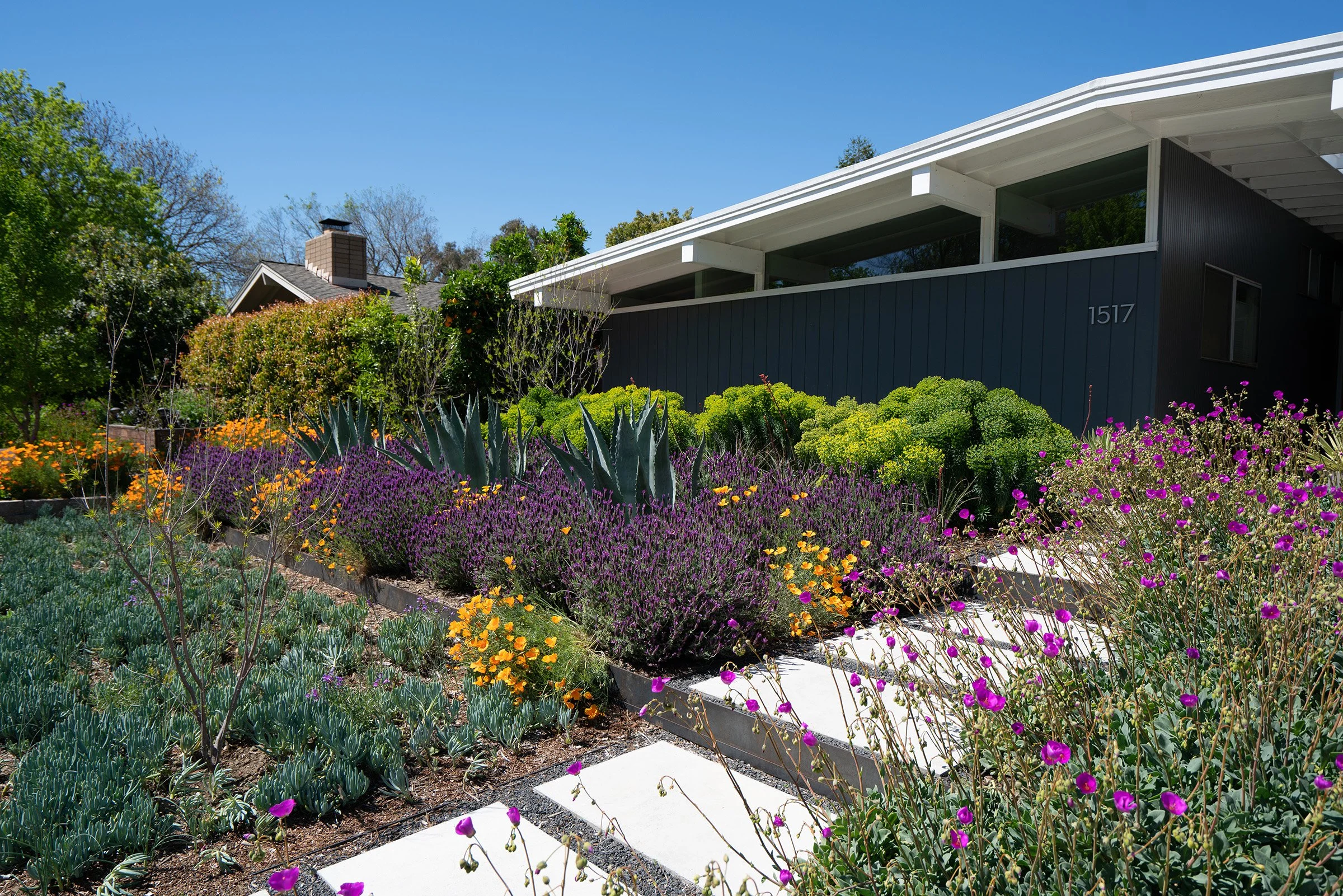 Mid-Century Haven — MIRIDAE